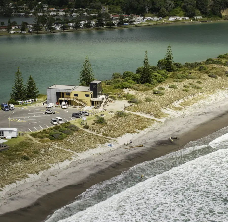 Pōhutukawa-lined beachfront reserve at Pukehina, Bay of Plenty