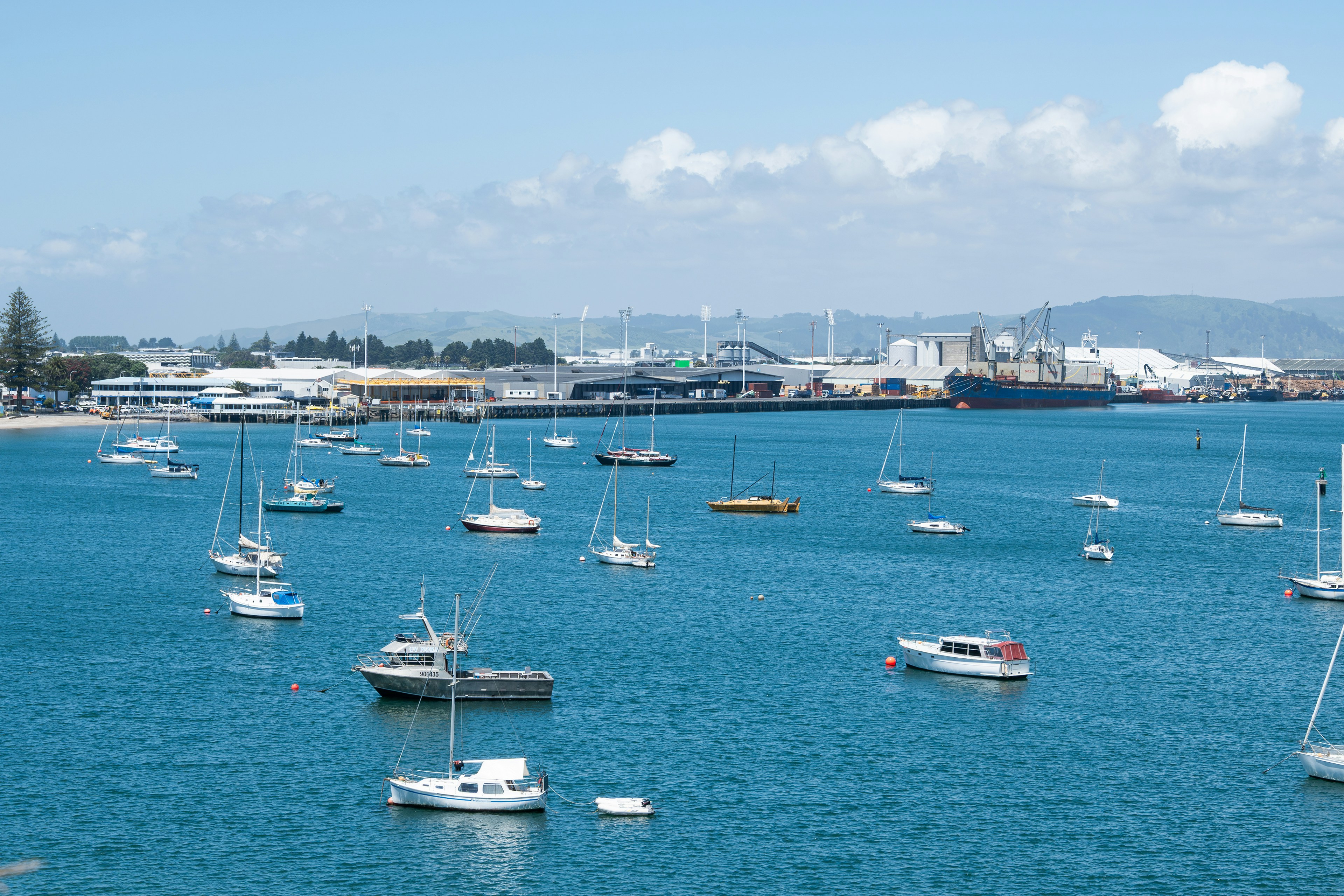 Tauranga Harbour with moored boats and the marina